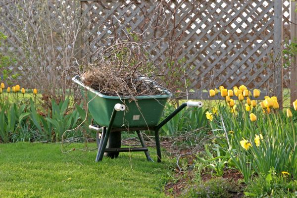 Flower Bed Cleanup Service in Riverview