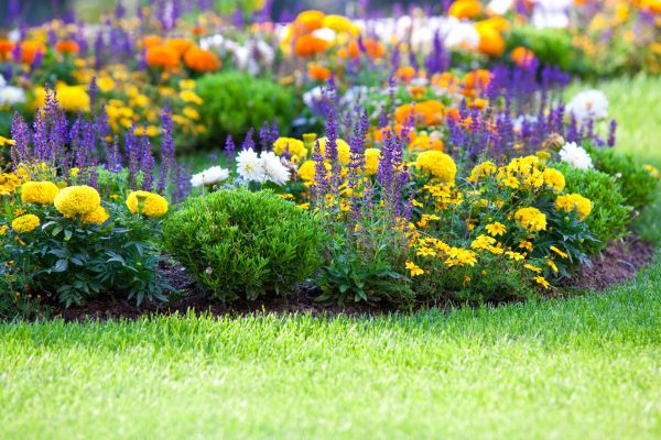 Flower Bed Maintenance in Riverview
