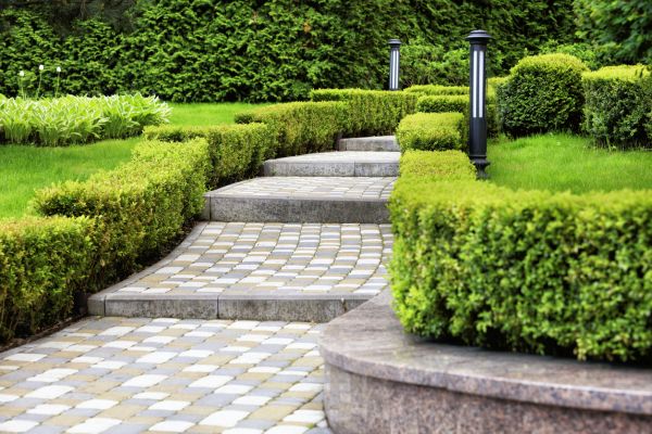 Backyard Remodeling in Riverview