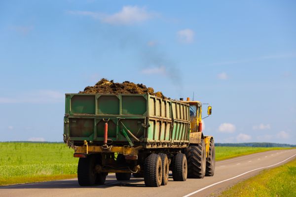 Bulk Soil Delivery in Riverview