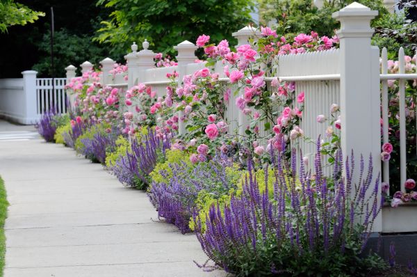 Garden Handyman Service in Riverview