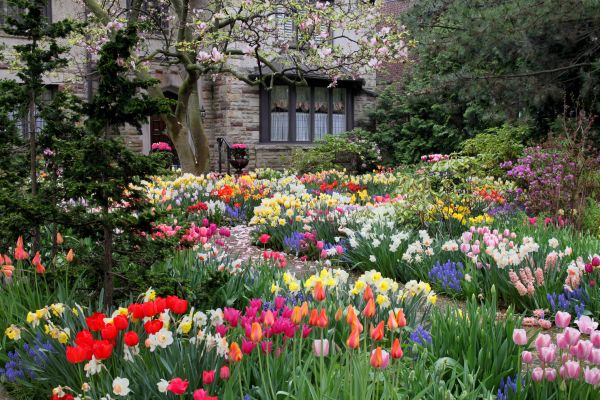 Garden Maintenance Service in Riverview