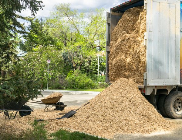 Wood Chips Delivery in Riverview