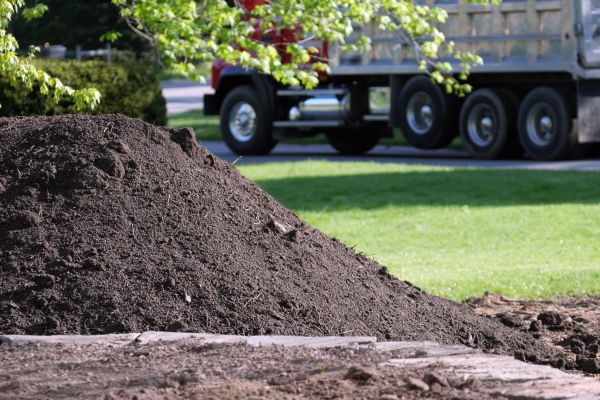 Yard Dirt Delivery in Riverview