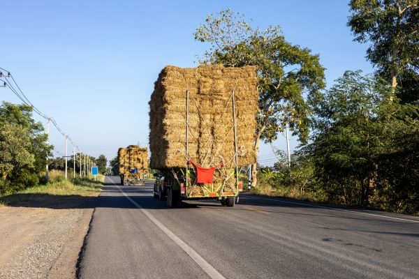 Pine Straw Delivery in Riverview
