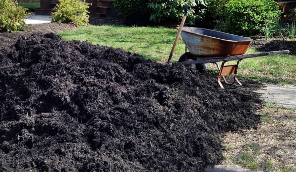 Black Mulch Delivery in Riverview