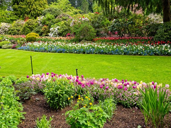 Residential Landscape Design in Riverview