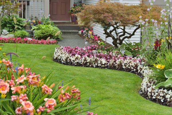 Perennial Landscaping in Riverview