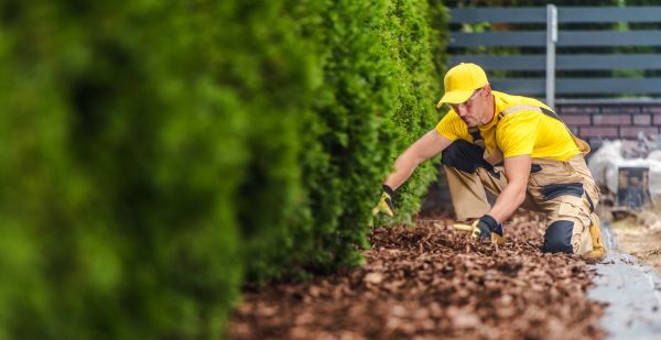 Cypress Mulch Installation in Riverview