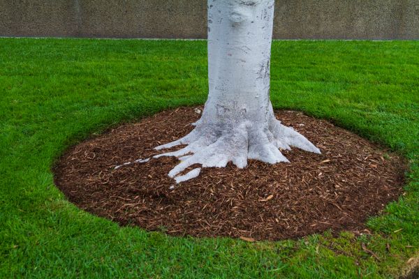 Brown Mulch Installation in Riverview