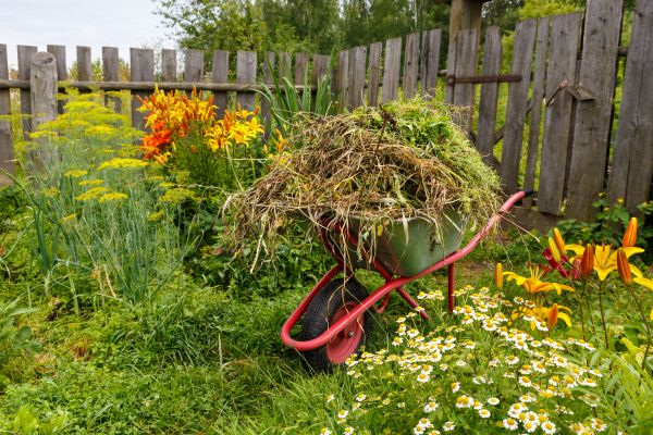 Garden Cleanup Service in Riverview