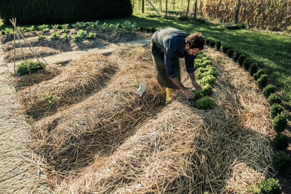 Straw Mulching Service in Riverview
