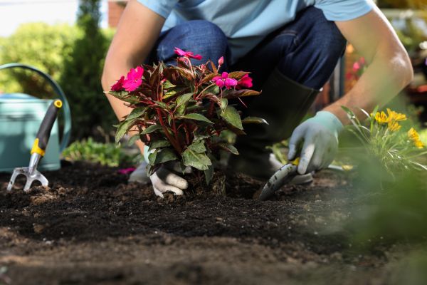 Plant Installation in Riverview