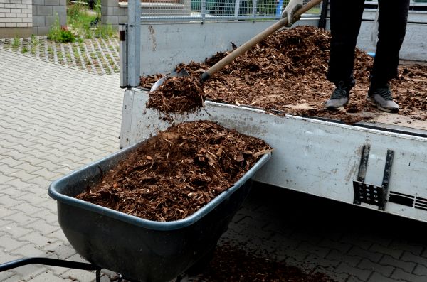 Landscape Mulch Delivery in Riverview