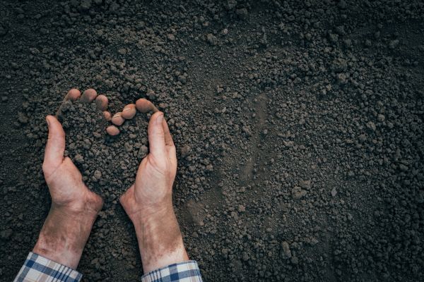 Soil Installation in Riverview