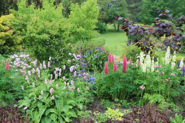 Flower Bed Planting in Riverview
