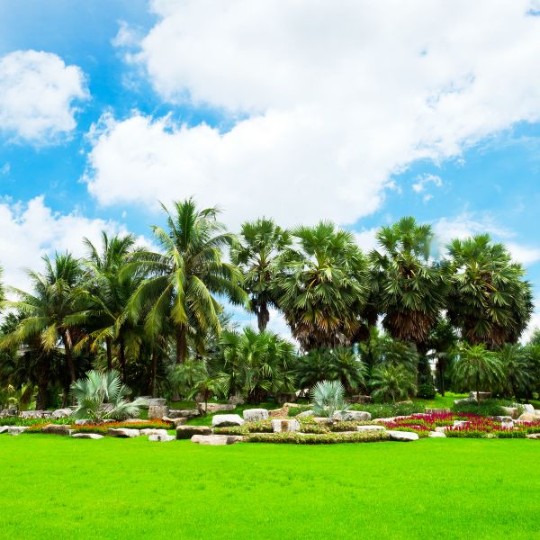 Tropical Landscaping in Riverview