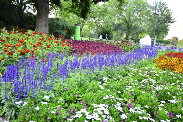 Perennials Planting in Riverview