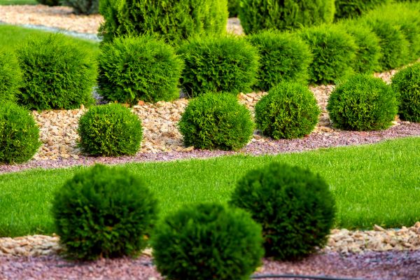Bush Installation in Riverview