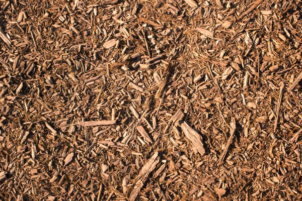 Wood Chips Removal in Riverview