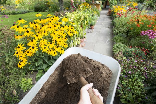 Topsoil Replacement in Riverview