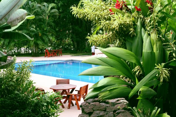 Pool Area Landscaping in Riverview