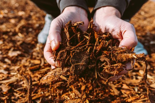 Bark Chips Delivery in Riverview