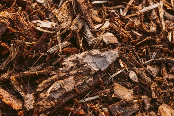 Bark Mulch Delivery in Riverview