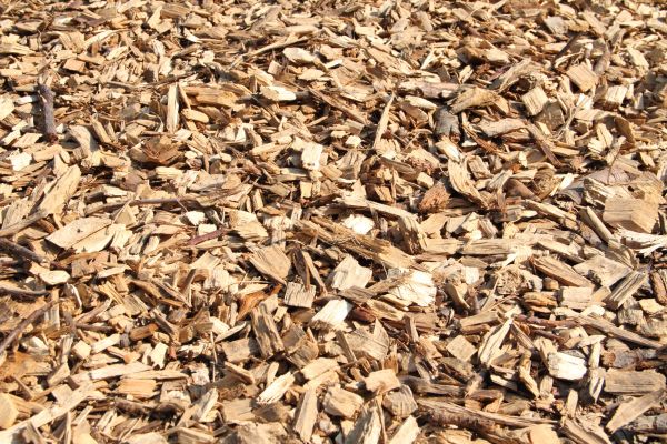 Wood Mulch Delivery in Riverview