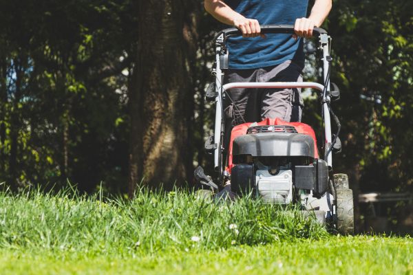 Garden Trimming Service in Riverview