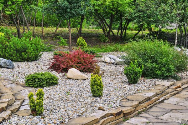 Hardscape Landscaping in Riverview