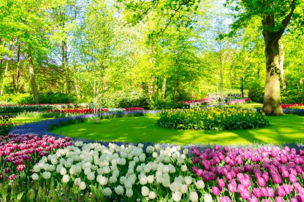 Flower Landscaping in Riverview