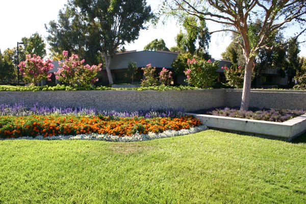 Commercial Landscape Service in Riverview