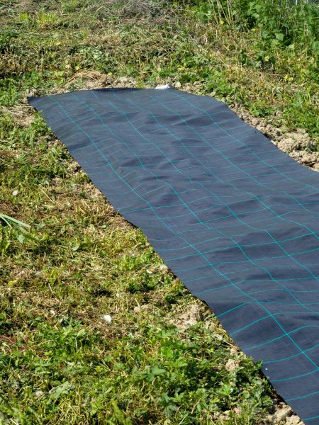 Weed Suppressant Installation in Riverview