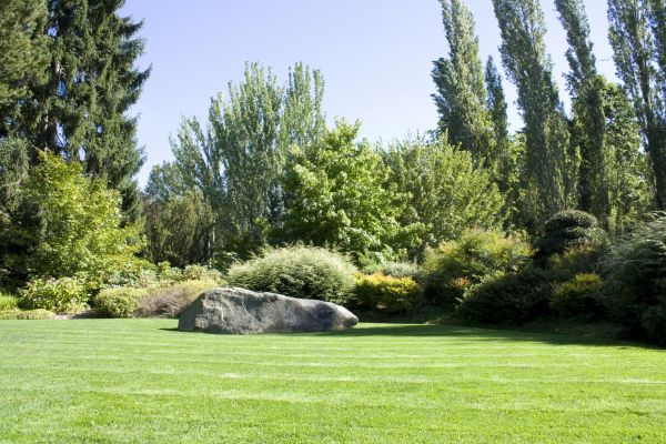 Yard Enlargement in Riverview