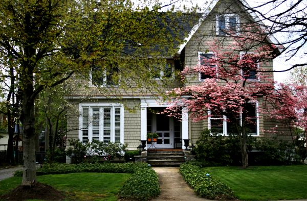 Ornamental Tree Planting in Riverview