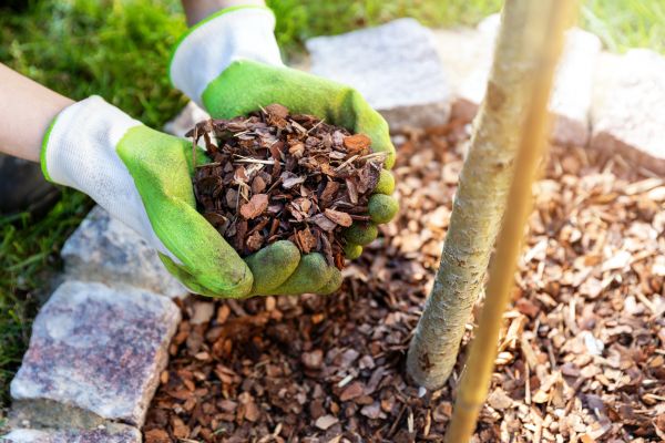 Tree Bark Delivery in Riverview