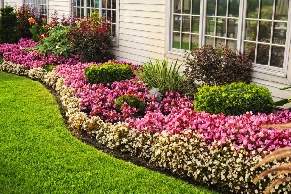 Garden Landscape Design in Riverview