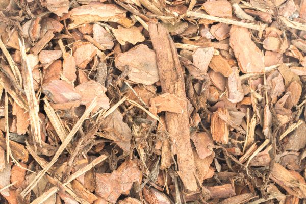 Bark Mulch Installation in Riverview