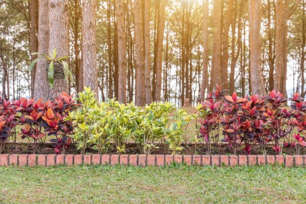 Small Garden Landscaping in Riverview
