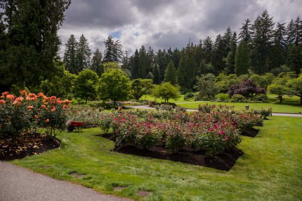 Flower Garden Landscaping in Riverview