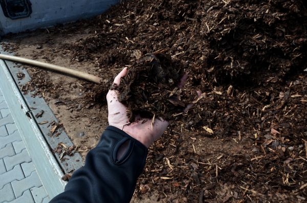 Condo Mulching in Riverview