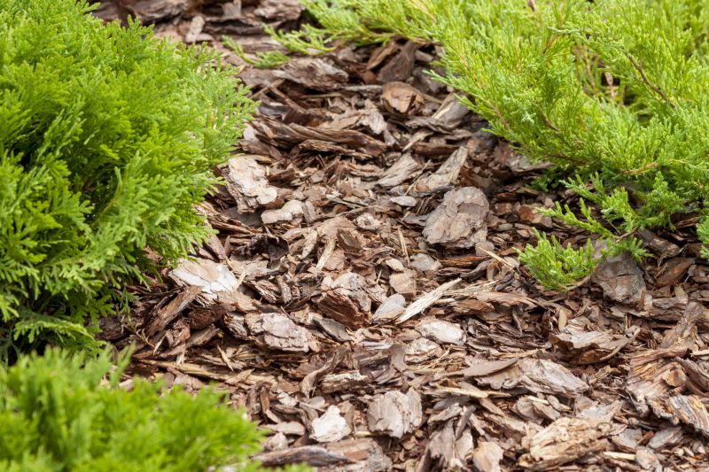 Cypress Mulch Installation