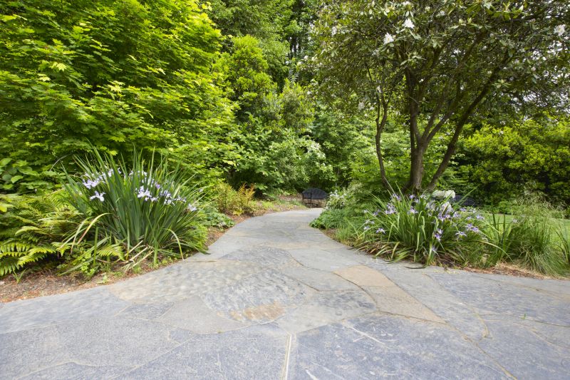 Pathway Landscaping